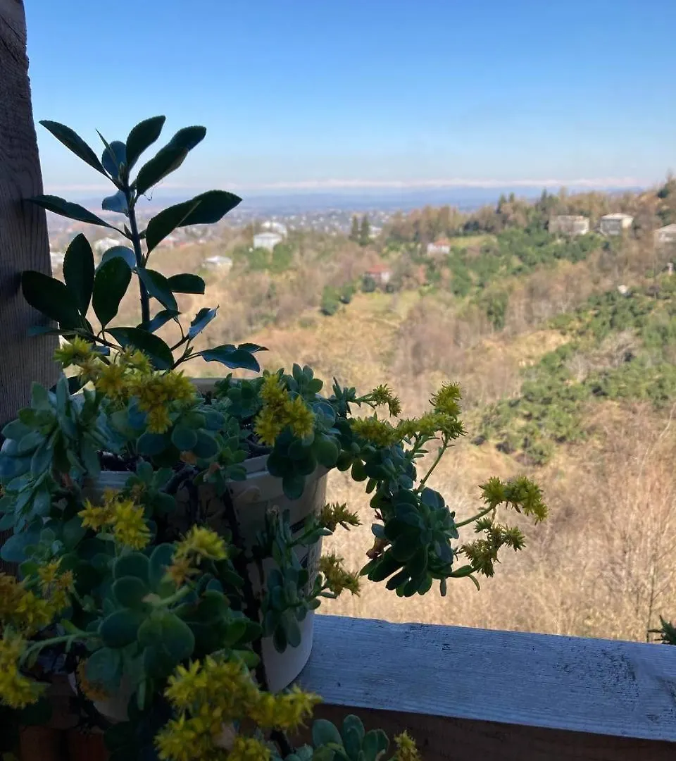 Cottage In Mountains Of Adjara Batumi Country house