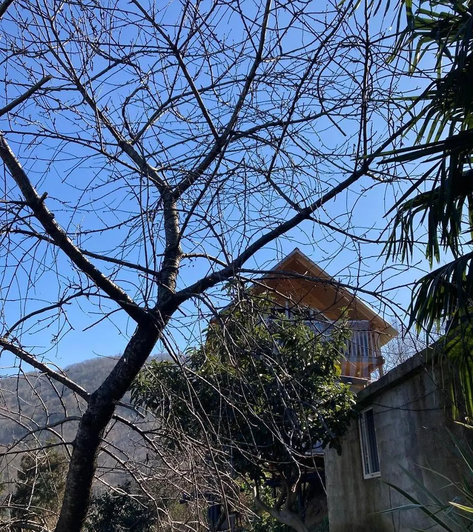 Cottage In Mountains Of Adjara Batumi 0*,